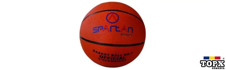 Minge baschet Florida