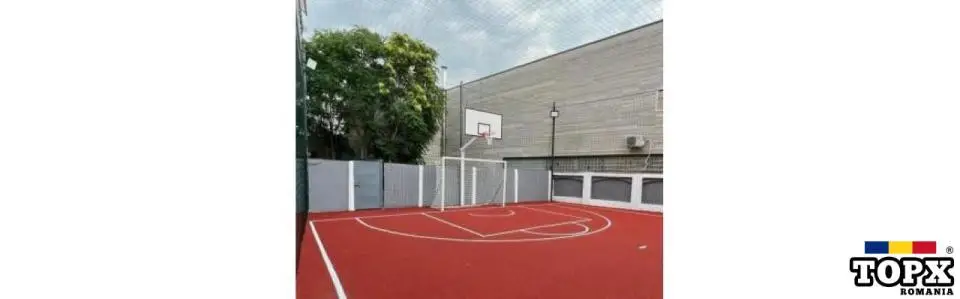 Sistem baschet  fix "Mona"