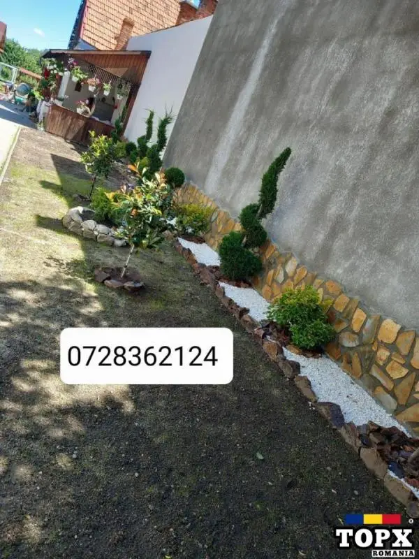 Vând  /montez/livrez piatră naturala, bolovani, gazon, plante ornamentale de orice specie - 9
