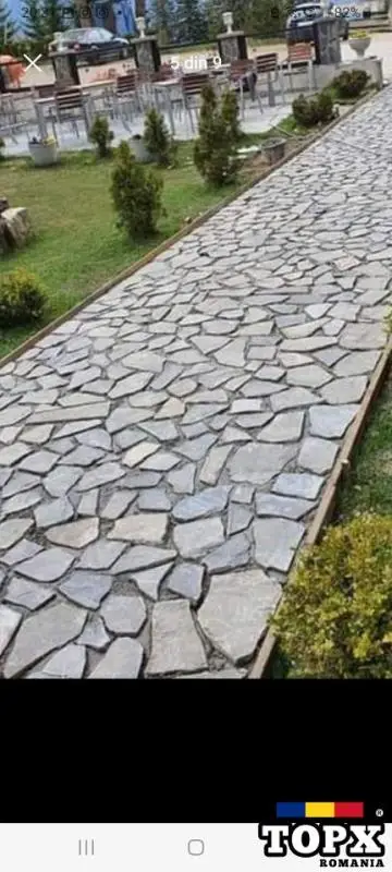 Vând  /montez/livrez piatră naturala, bolovani, gazon, plante ornamentale de orice specie - 11