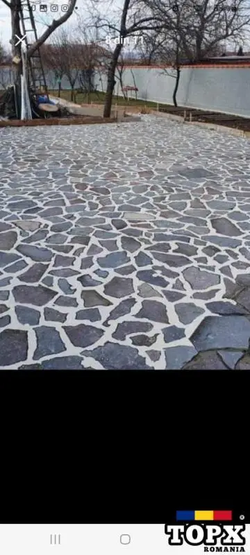 Vând  /montez/livrez piatră naturala, bolovani, gazon, plante ornamentale de orice specie - 14