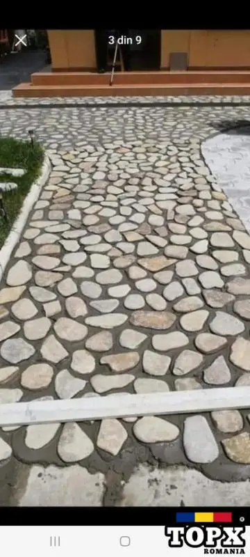 Vând  /montez/livrez piatră naturala, bolovani, gazon, plante ornamentale de orice specie - 15