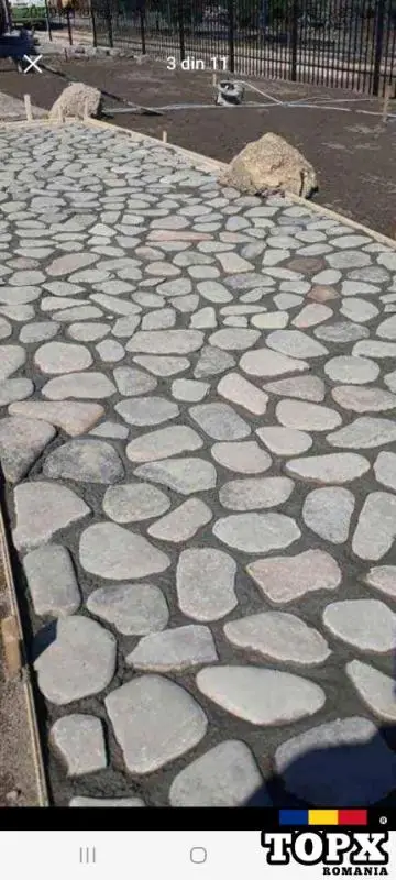 Vând  /montez/livrez piatră naturala, bolovani, gazon, plante ornamentale de orice specie - 16