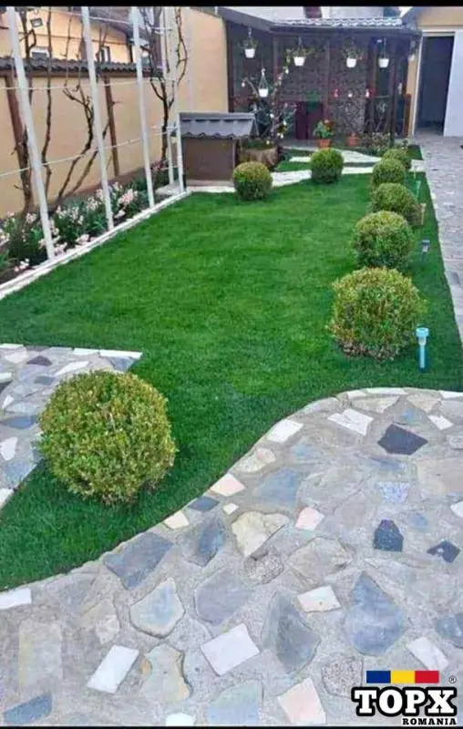 Vând  /montez/livrez piatră naturala, bolovani, gazon, plante ornamentale de orice specie - 18