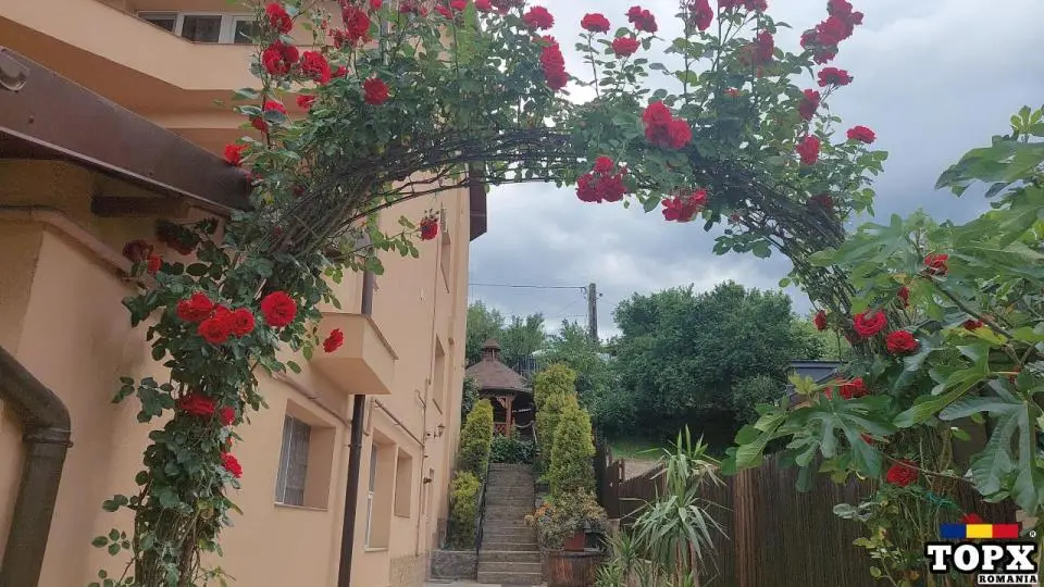 Ofer loc. pt. închiriere în camere la casă în Pitești 350 lei/persoana