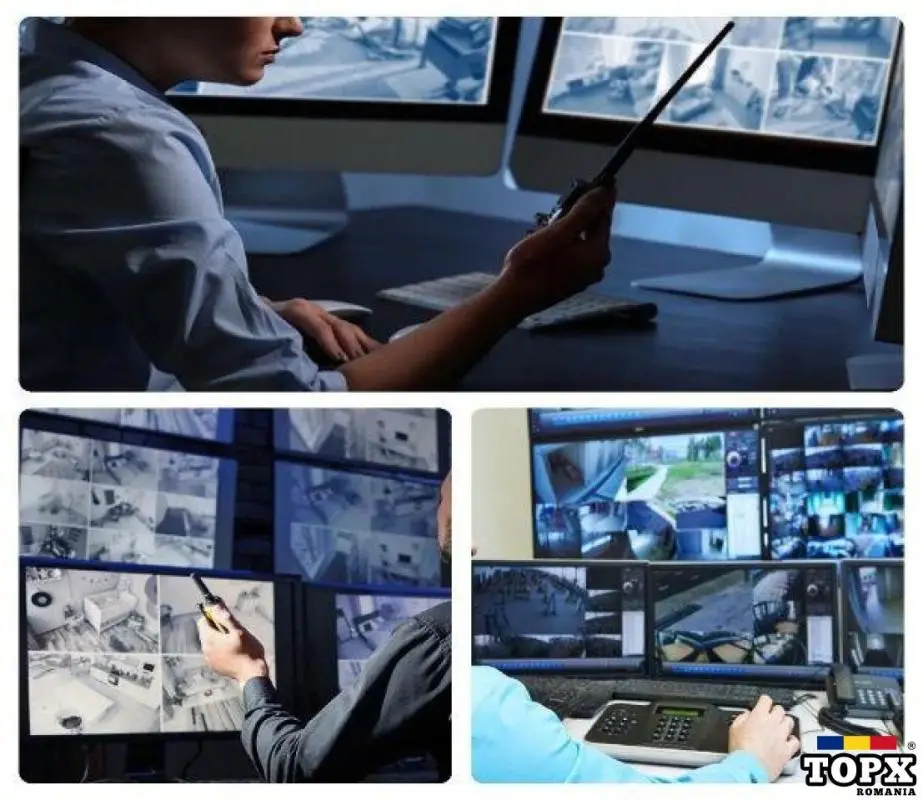 Curs agent de securitate