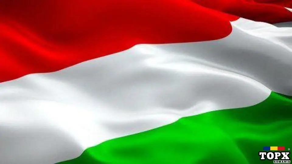 Traducatori Odorheiul-Secuiesc – Toplita – Borsec – Baile-Tusnad – Vlahita