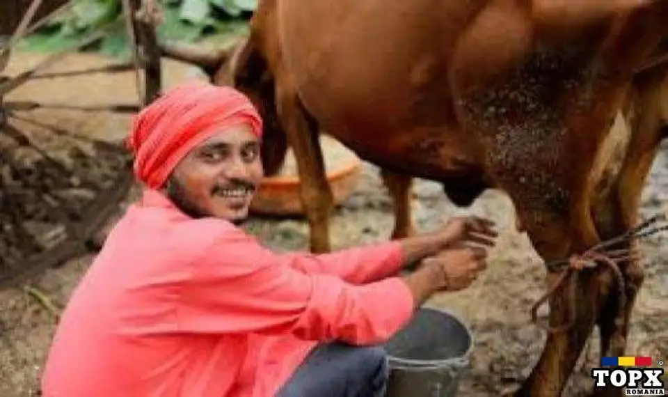 Aducem la cerere - Muncitori din Asia,Africa,etc