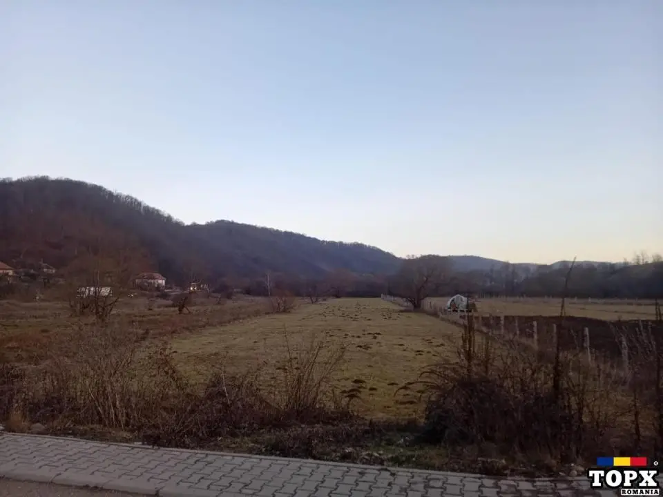 Teren de vânzare Valea Draganului