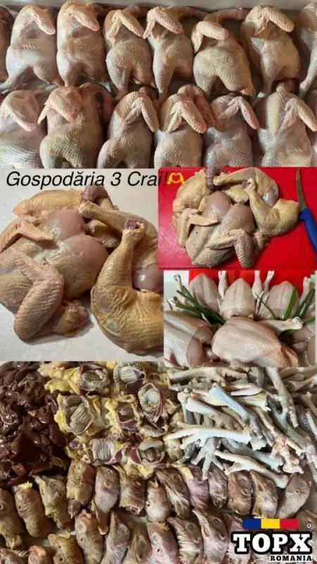 Vindem Carne De Puiut Taranesc