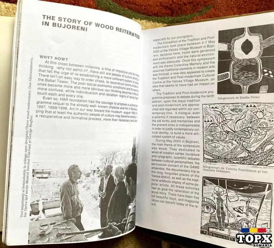 Lemnul, Wood, Ianus - 3