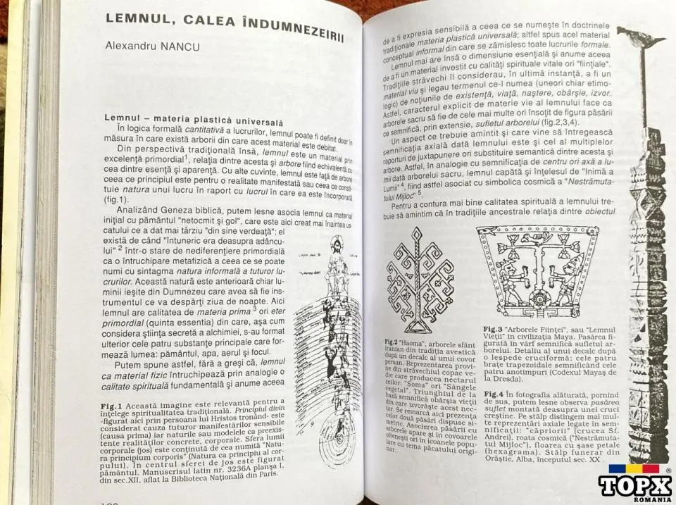 Lemnul, Wood, Ianus - 5