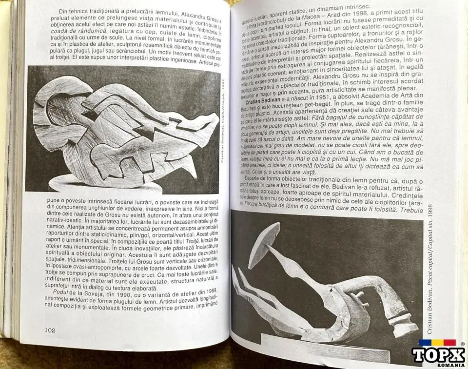 Lemnul, Wood, Ianus - 8