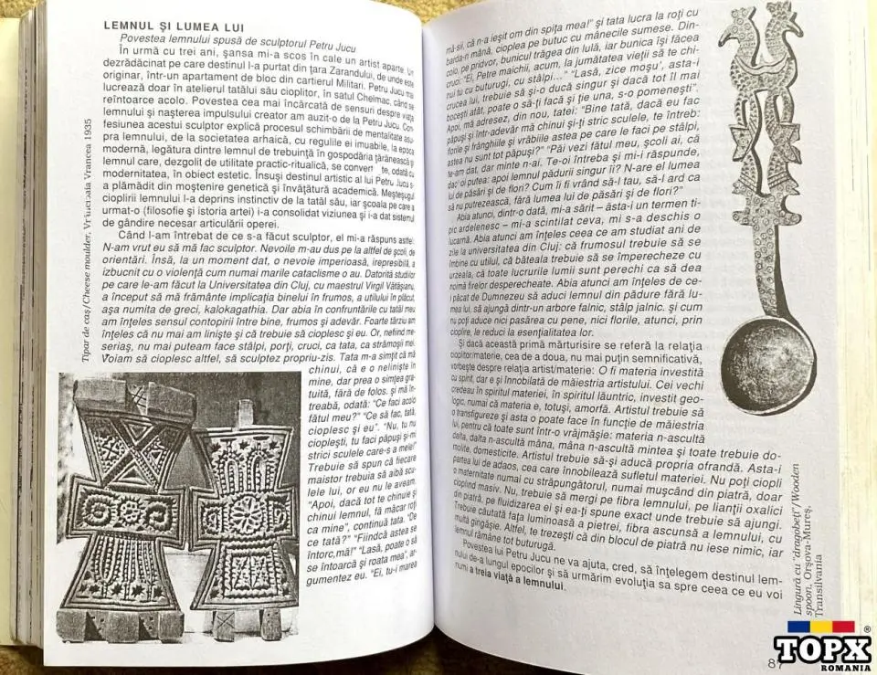 Lemnul, Wood, Ianus - 9