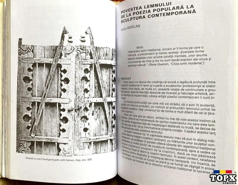 Lemnul, Wood, Ianus - 10