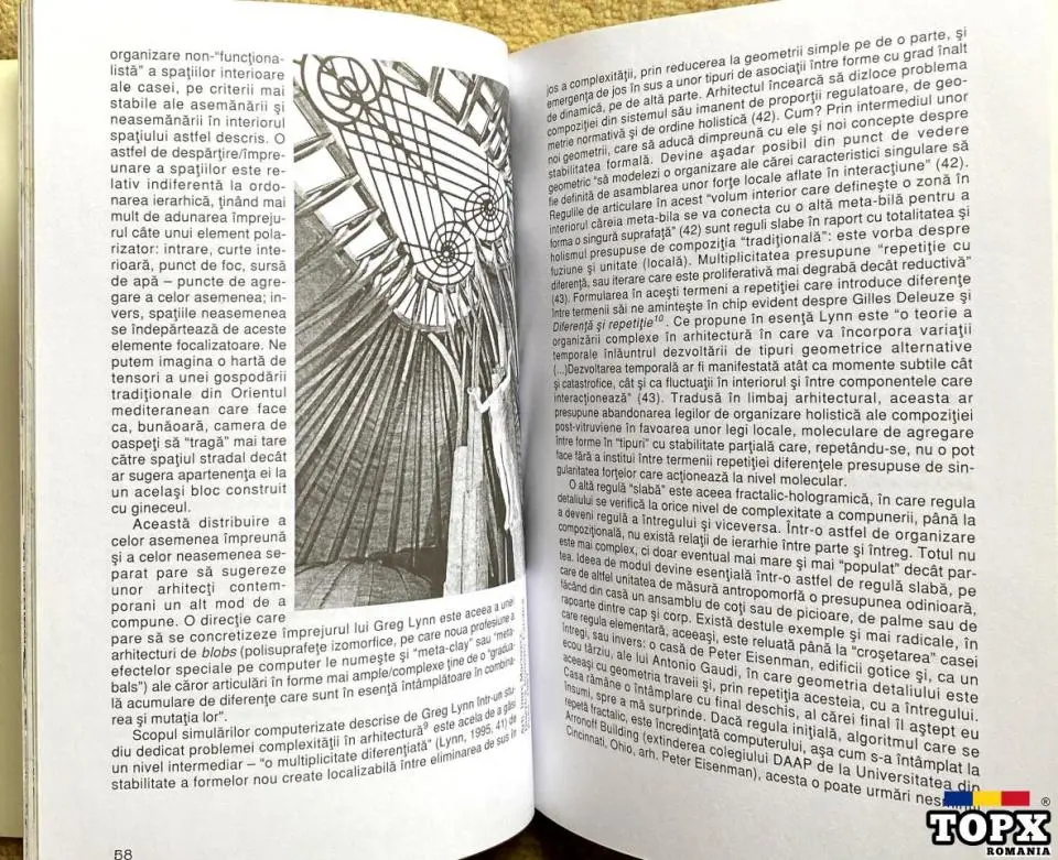 Lemnul, Wood, Ianus - 11