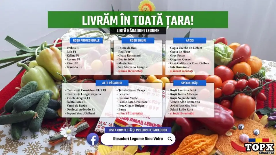 Rasaduri Rosii | Rasad Rosii Ardei Castraveti Vinete | Rasaduri Legume