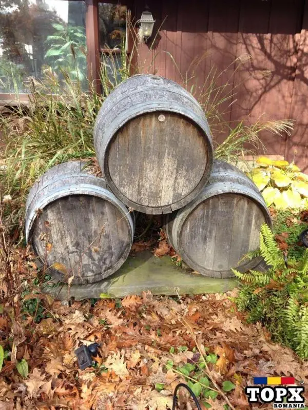 PROMOVEAZA ANUNTUL si VINZI BAUTURI de 100X mai REPEDE