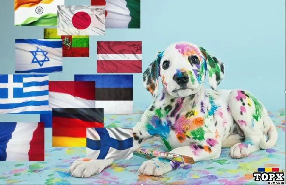 Traducator italiana, engleza, spaniola - traduc documente diverse