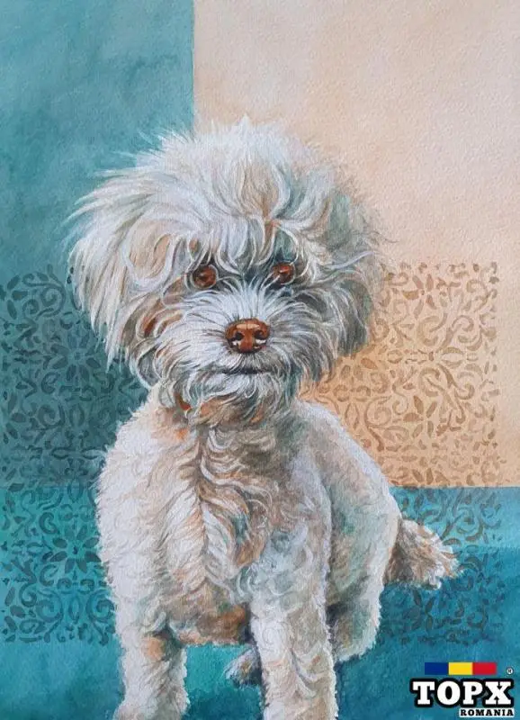 Tablouri picturi,desene figurative - 4