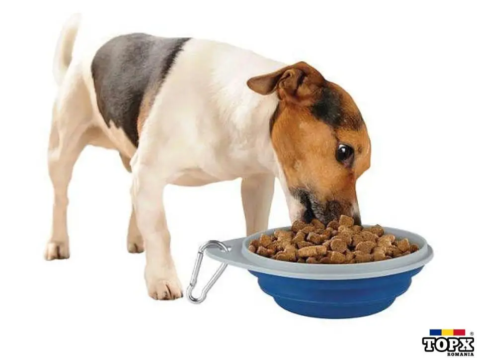 Bol pliabil din silicon pentru caini - SIGILAT