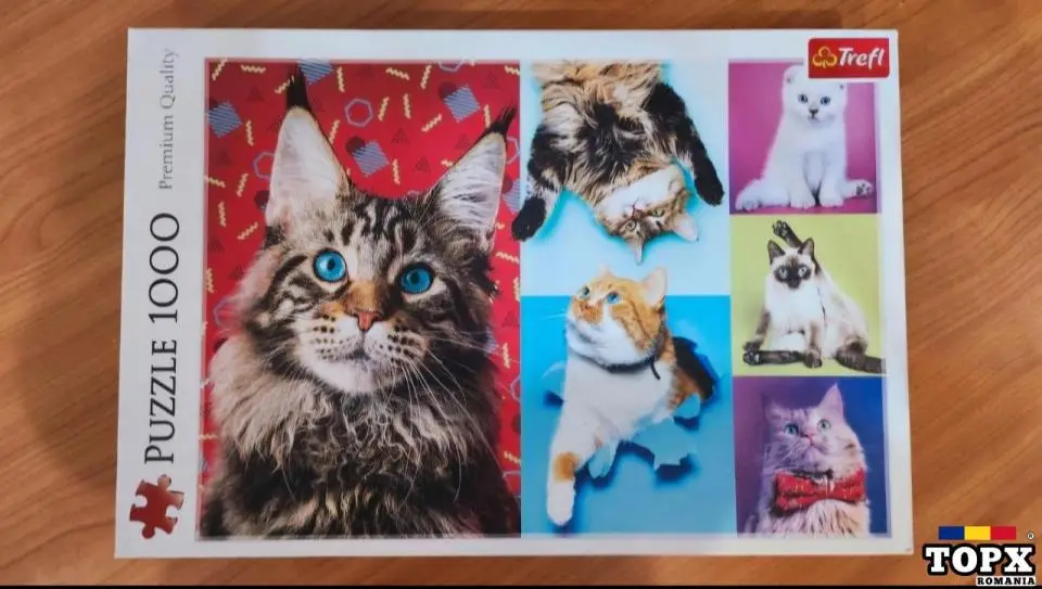 Puzzle 1000 piese pisici