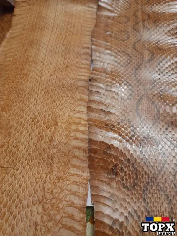 Vând piele șarpe și tatu