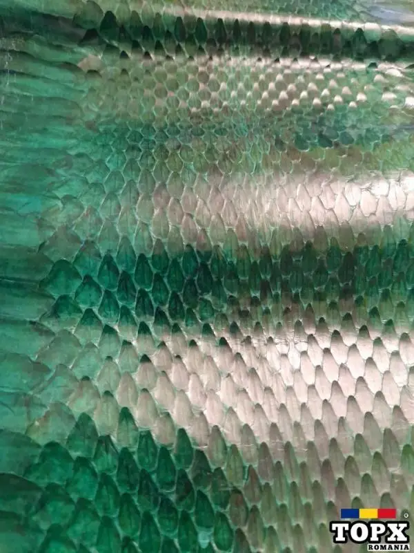 Vând piele șarpe și tatu - 4