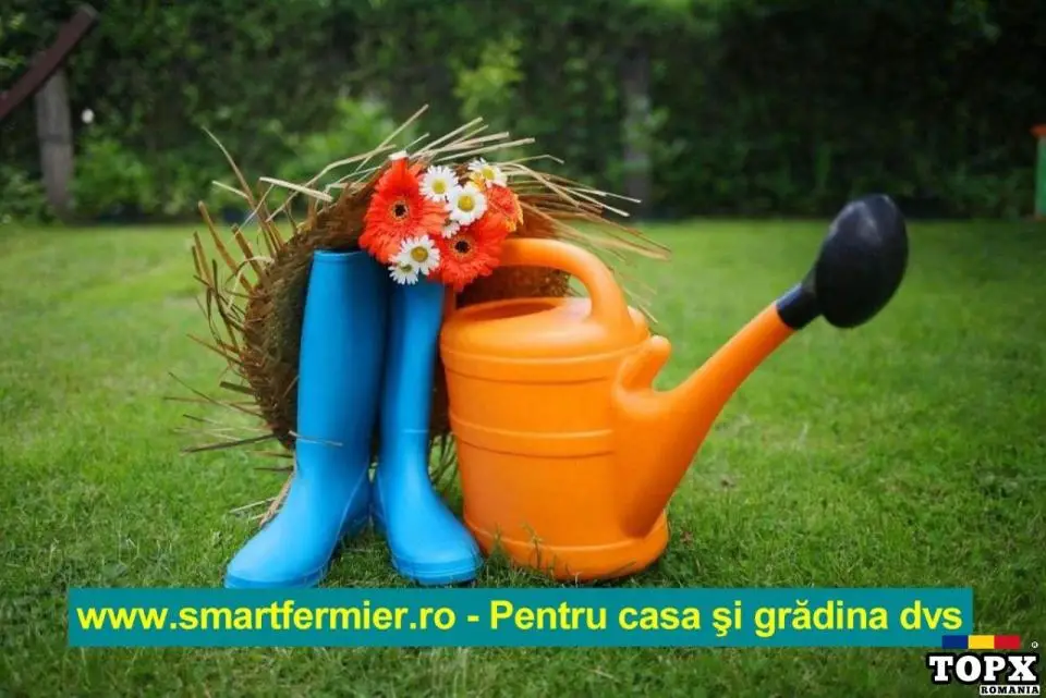 Magazin cu scule și unelte pentru casa si gradina - 3