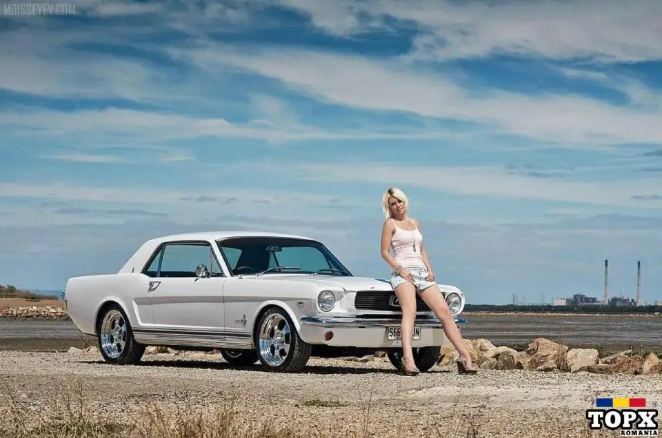 Traduceri autorizate acte inmatriculare auto in Romania