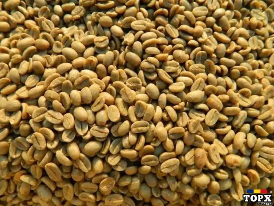 #+27719755564 Green Coffee beans (Arabica Coffee) Grade: AA, A, and AB