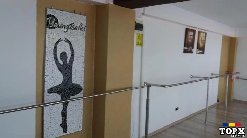 Reclama Mozaic Ceramica Handmade Trenkart - 3