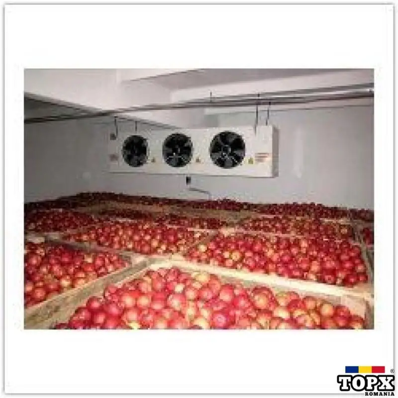 Depozit mere Austria