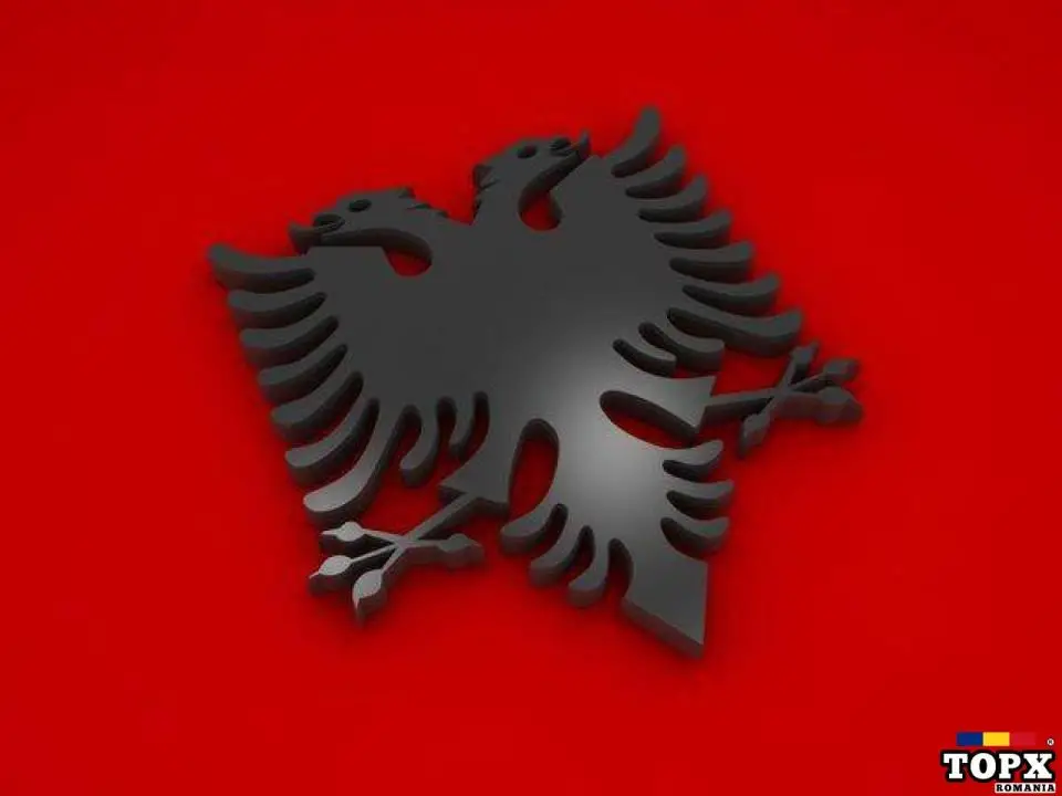 Traducator Germana-Rusa-Macedoneana-Croata-Sarba-Albaneza - traduc autorizat