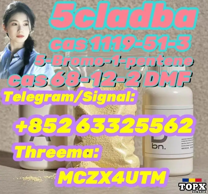 5-Bromo-1-pentene CAS 1119-51-3 100% past customs safe delivery high quality