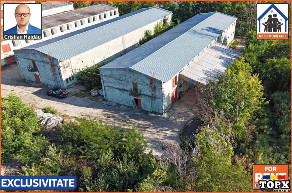 Hale de inchiriat in 1 Decembrie Ilfov | NILS Imobiliare