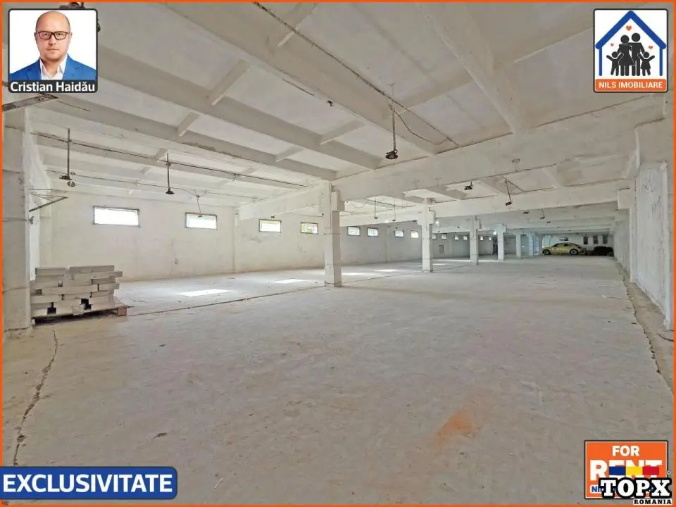 Hale de inchiriat in 1 Decembrie Ilfov | NILS Imobiliare - 4