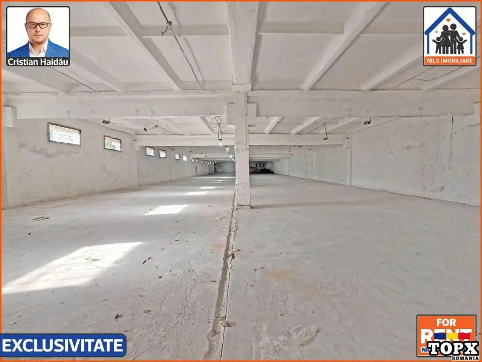 Hale de inchiriat in 1 Decembrie Ilfov | NILS Imobiliare - 7