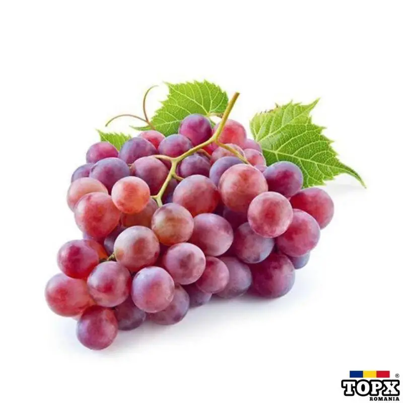 depozit struguri germania