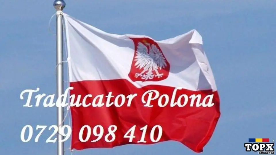 traducator poloneza-engleza-rusa
