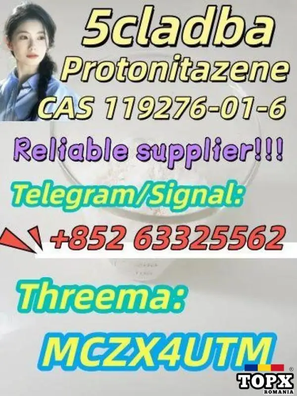 Protonitazene CAS 119276-01-6