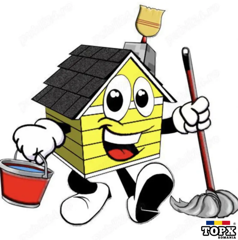 Curățenie generală și de întreținere