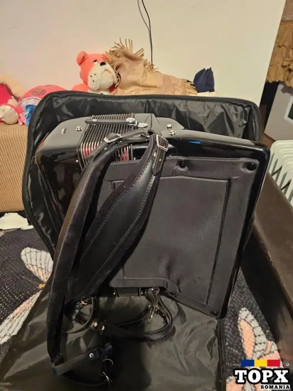 Vand acordeon pentru midi - 4