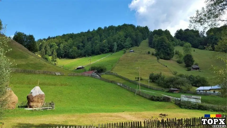 Iau in spatiu pentru buletin de Bucuresti