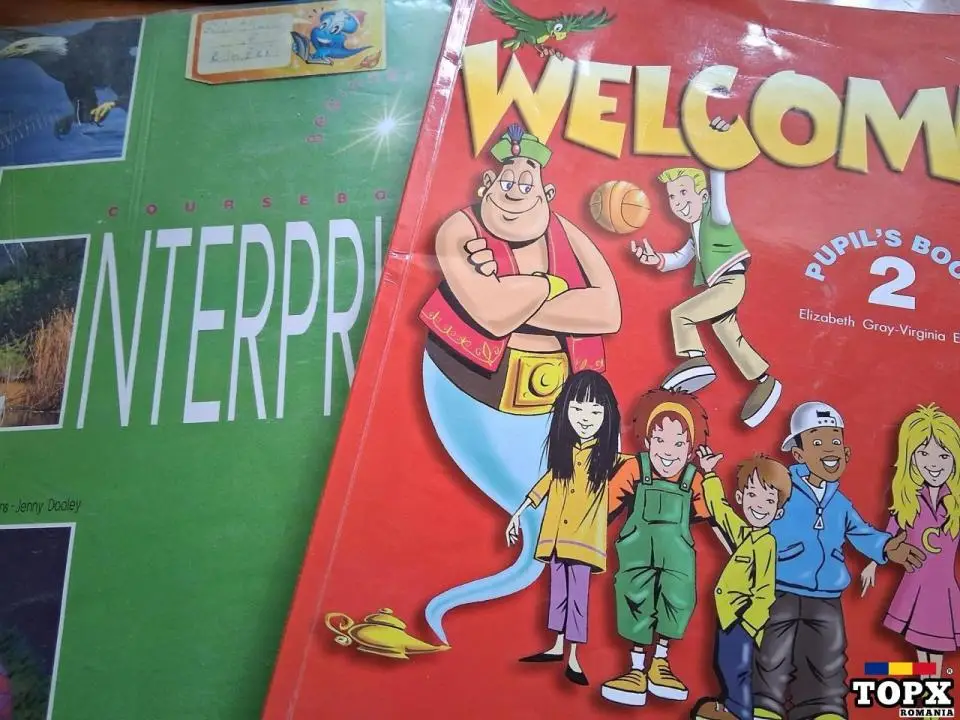 Traducător&profesor lb engleză