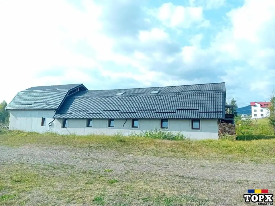 Vacante ieftine în bucovina