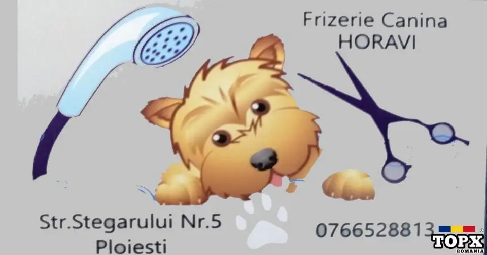 Tuns caini-Frizerie/coafor canin HORAVI