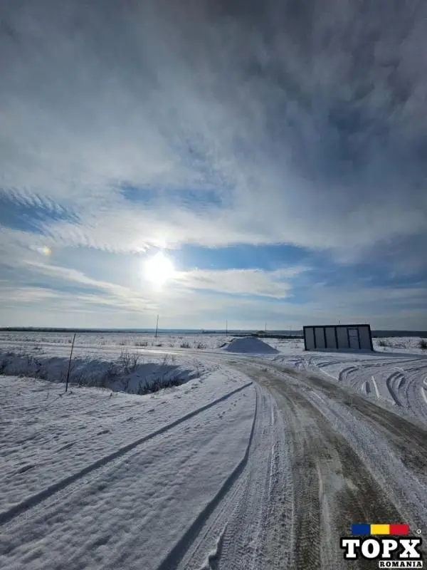 Terenuri premium de vanzare, intre paduri, acces asfaltat din DN1A