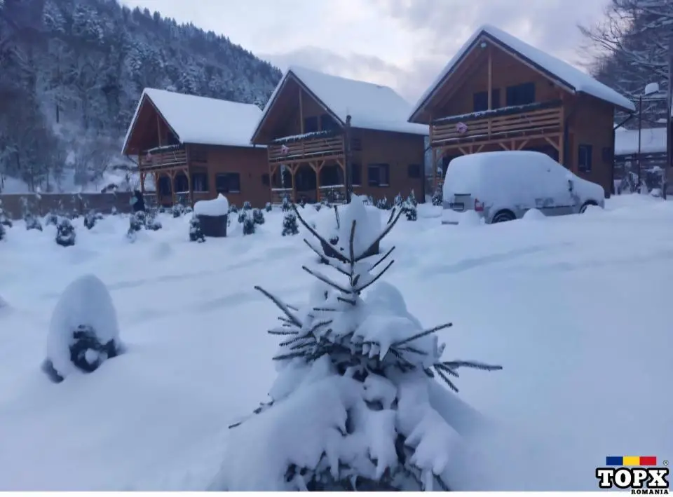 Cabana pensiune hotel Plaiul Foii Zărnești Brașov munte cazare