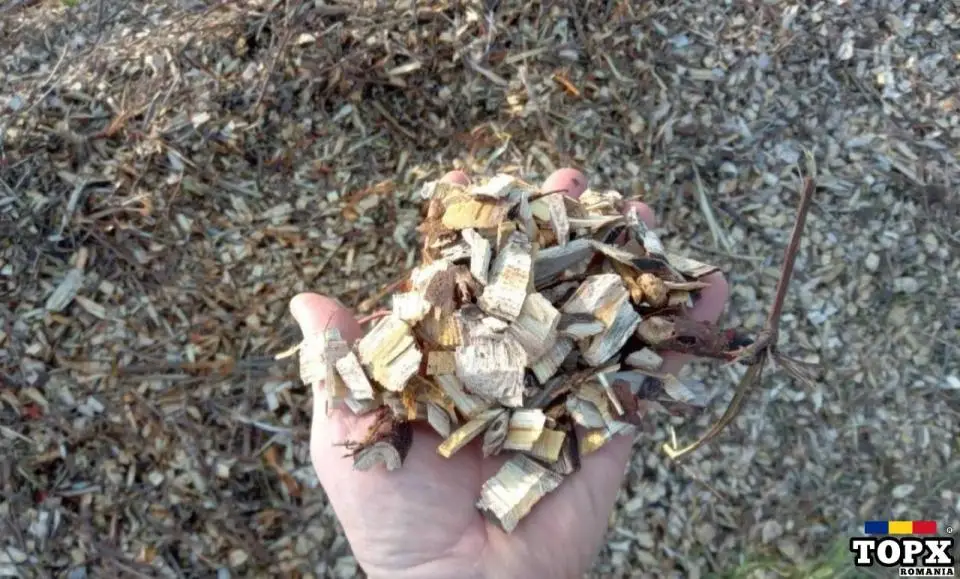 Închiriez Tocator,tocător crengi ,